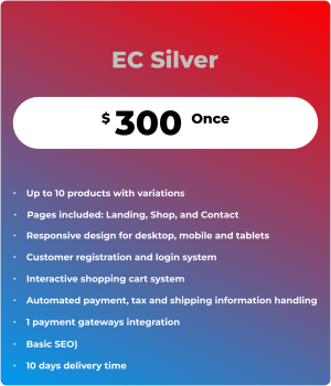 WordPress and WooCommerce based e-commerce store development services by Cyberways.online. EC-Silver Package