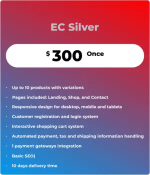 WordPress and WooCommerce based e-commerce store development services by Cyberways.online. EC-Silver Package