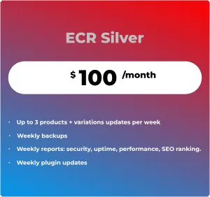 Website Maintenance Services E-Commerce-Retainer by Cyberways.online